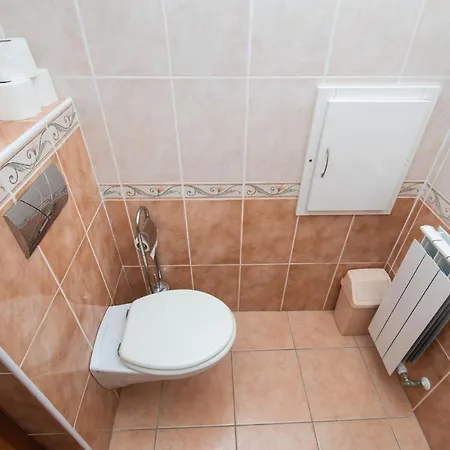 Zlatna Appartement *
