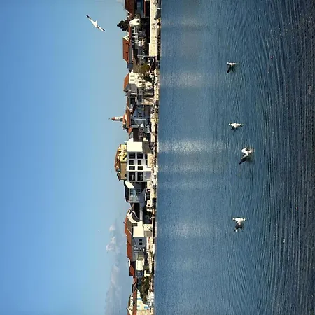 Zlatna * Betina (Sibenik-Knin)